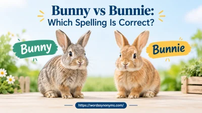 Bunny vs Bunnie